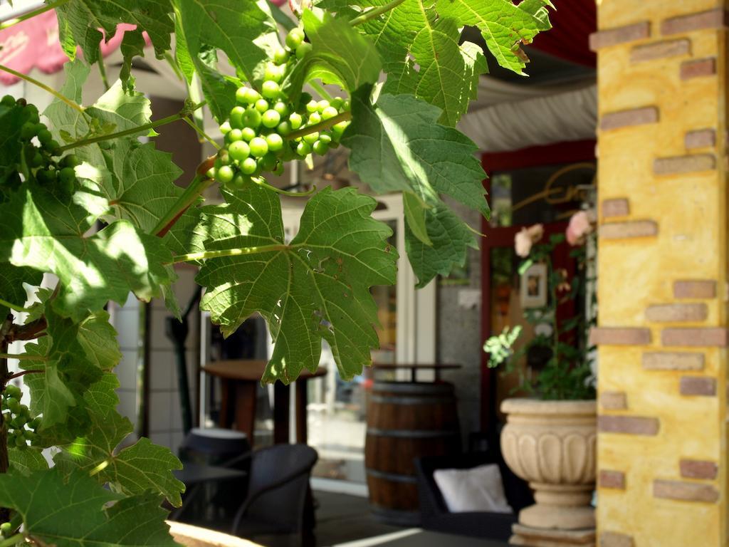 Hotel Ristorante La Terrazza Planegg Εξωτερικό φωτογραφία